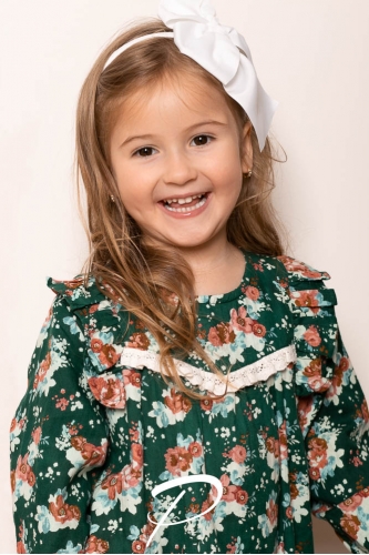 Darina